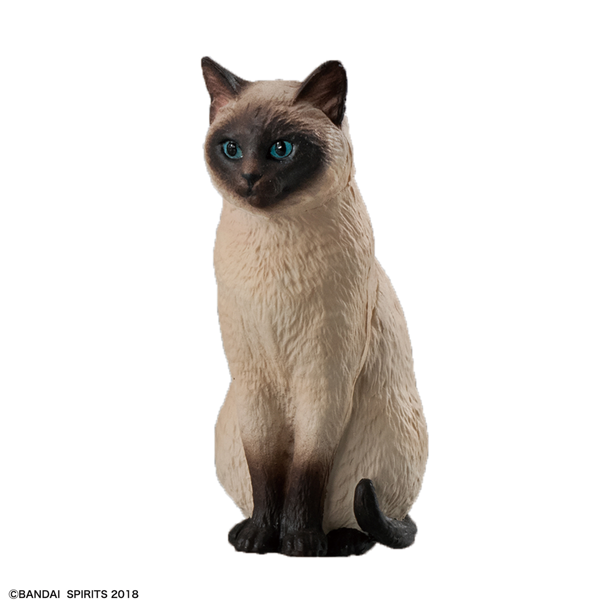 Neko Busou 2 Namimori