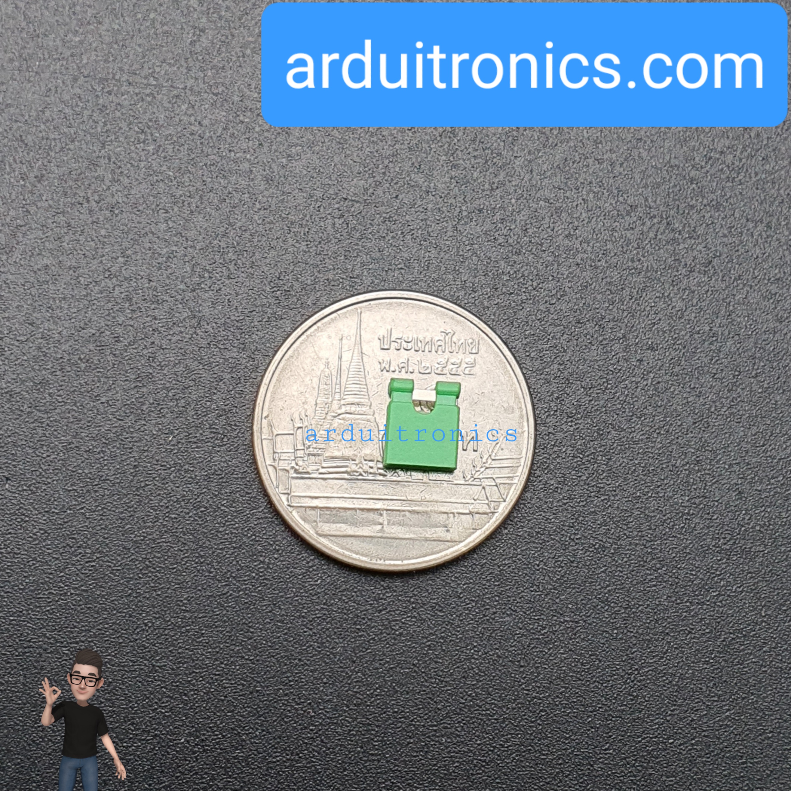 Pin Jumper - 2 Pin (ปลายเปิด สีน้ำเขียว)