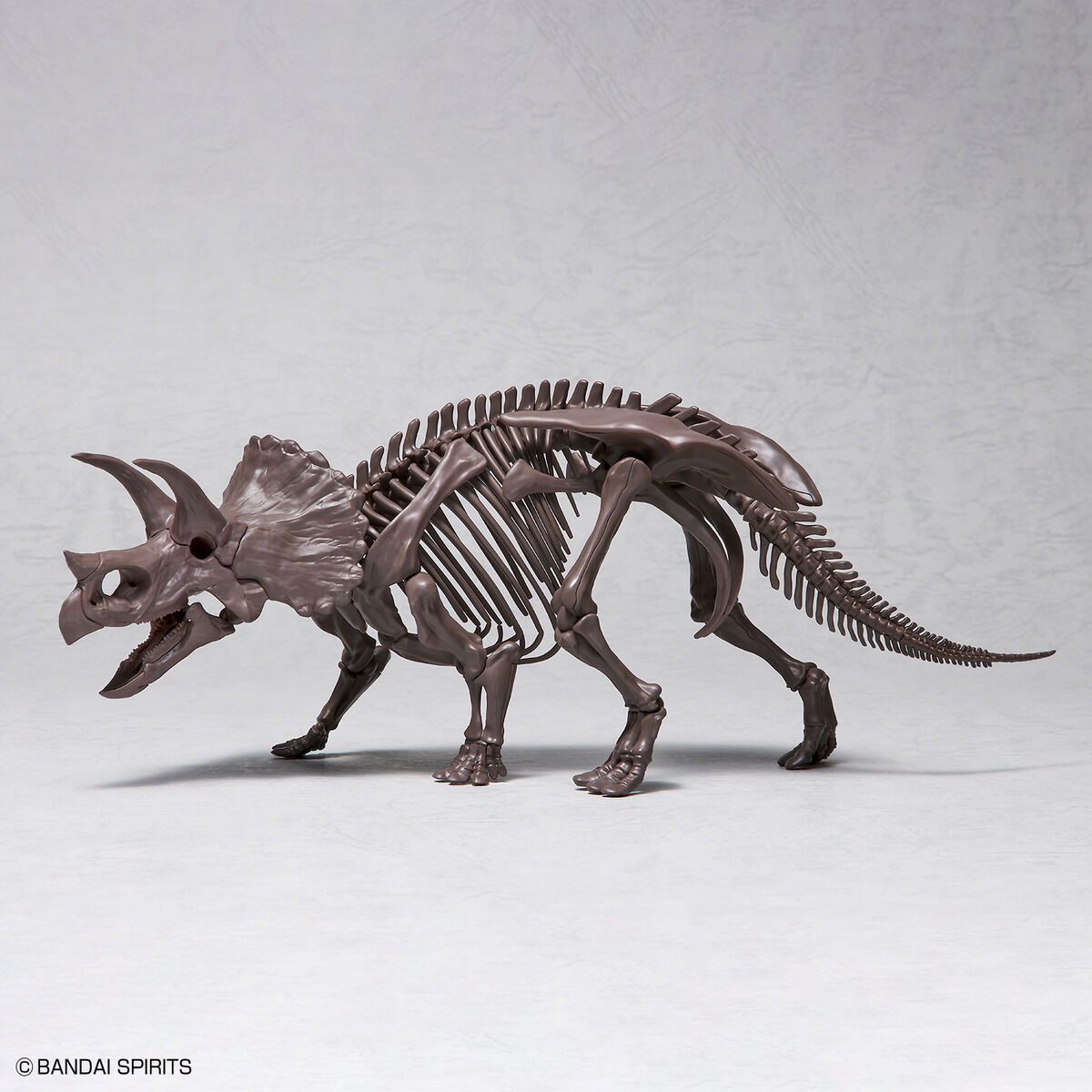 Imaginary Skeleton Triceratops