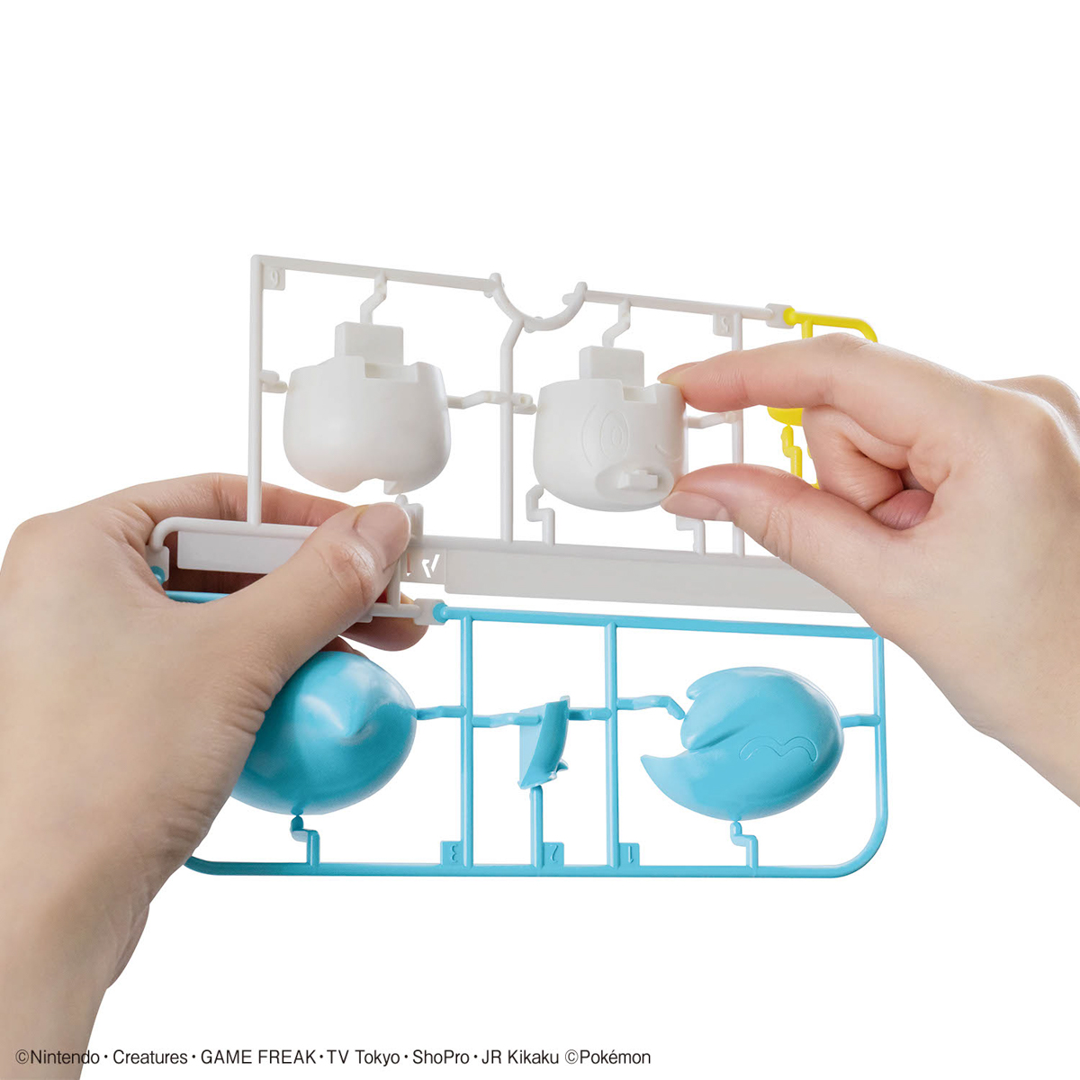 Pokemon Plamo Collection Quick!! 19 Kwass