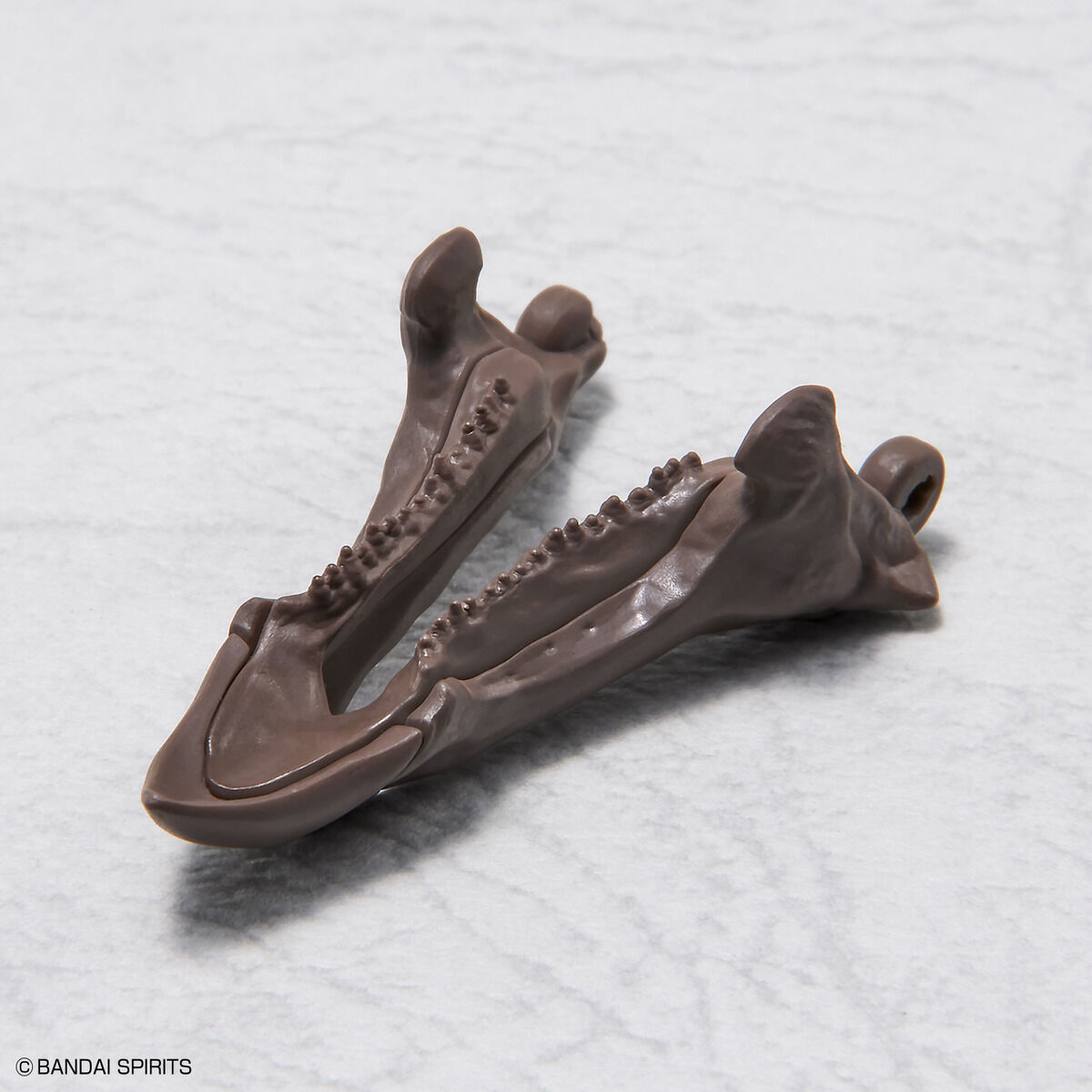 Imaginary Skeleton Triceratops