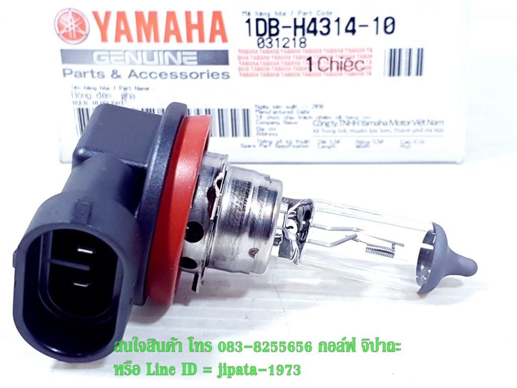 (Nouvo SX,GPX Demon) หลอดไฟหน้า ขั้ว H11 12V/55W แท้