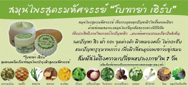 โบทาย่า เฮิร์บ