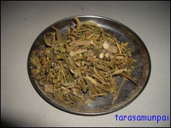 ขัดมอญ (ราก)