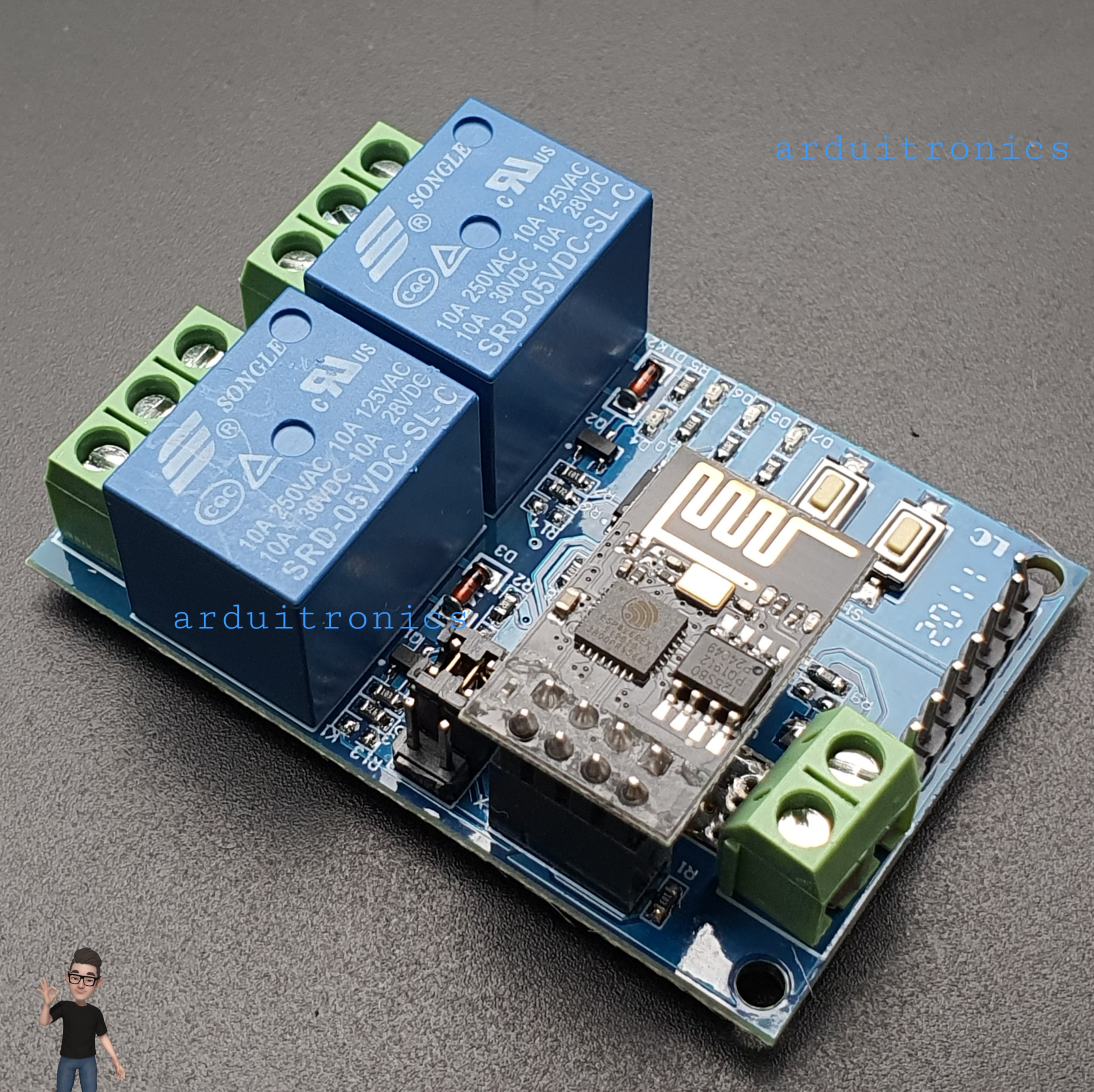 5V 2 Channel Relay with WiFi Module (ESP8266) for Smart Home (สินค้ามาพร้อมกับ ESP-01 โมดูล)
