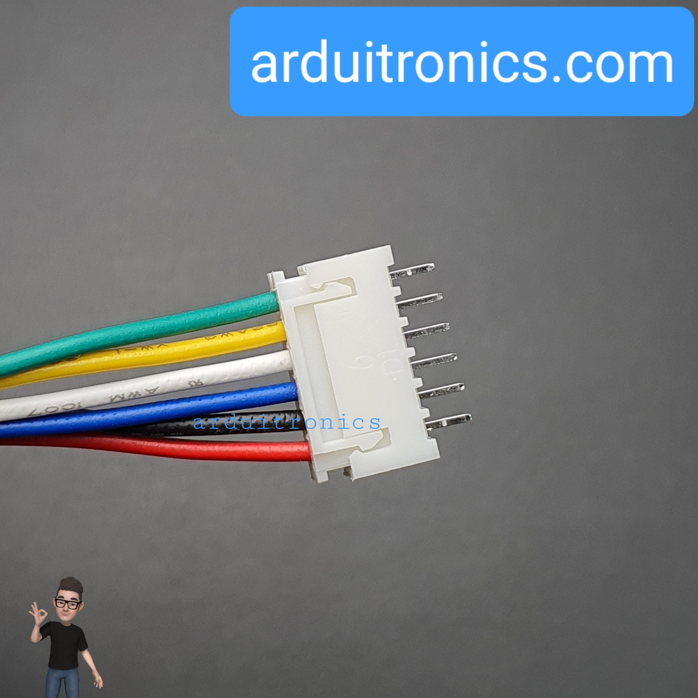 สาย XH2.54 Male Head 6P with Wire + Straight Pin Terminal