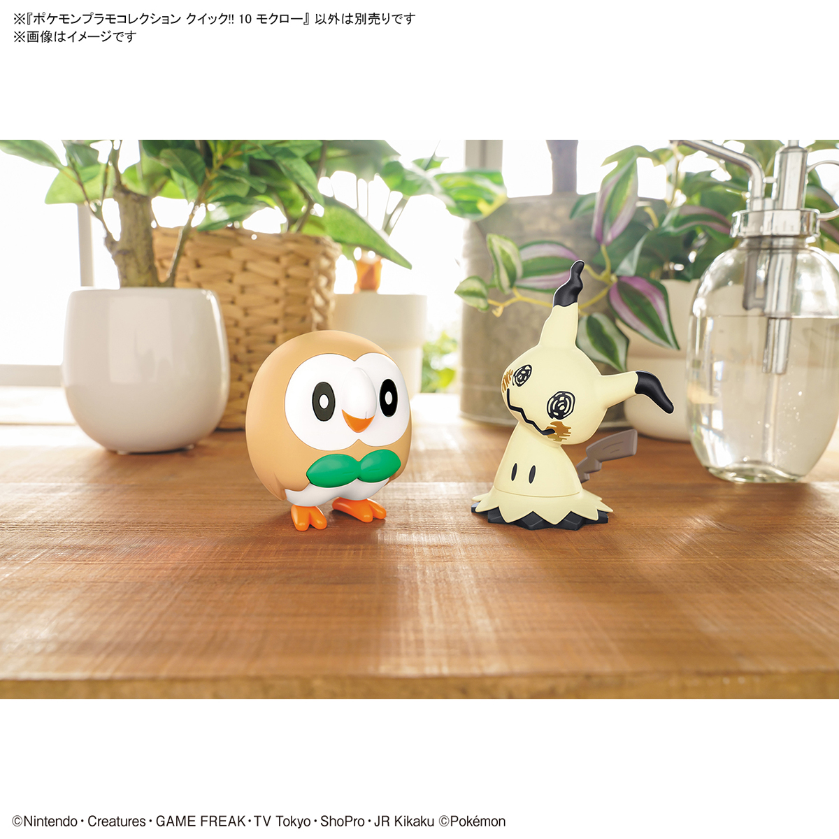 Pokemon Plamo Collection Quick !! 10 Rowlet