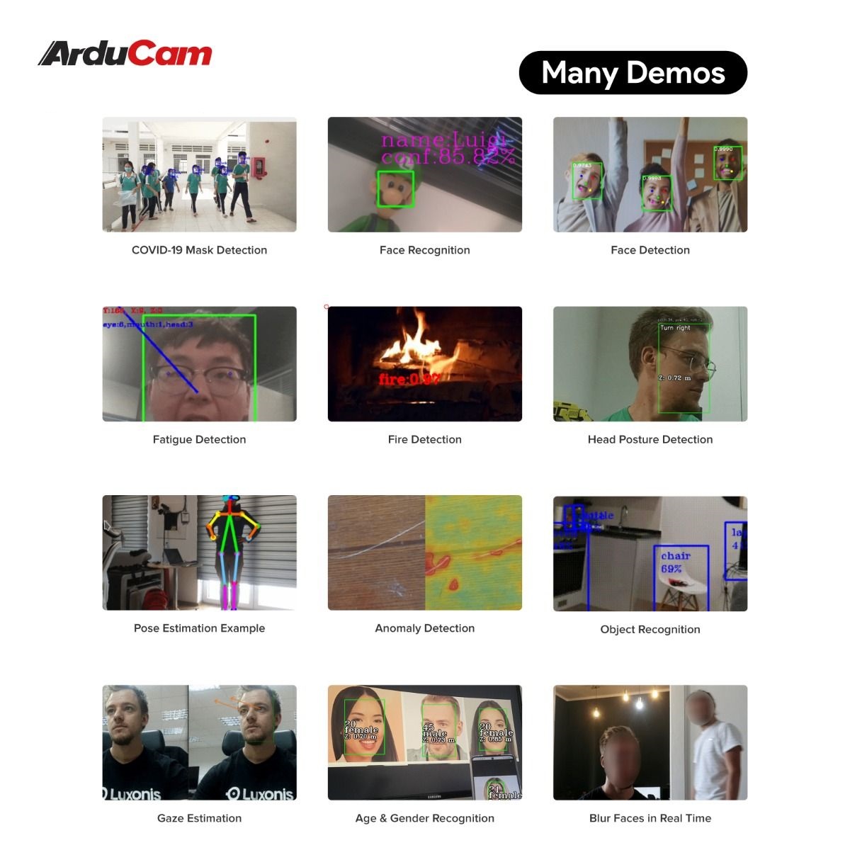 Arducam PiNSIGHT, 12MP Vision AI Mate for Raspberry Pi 5