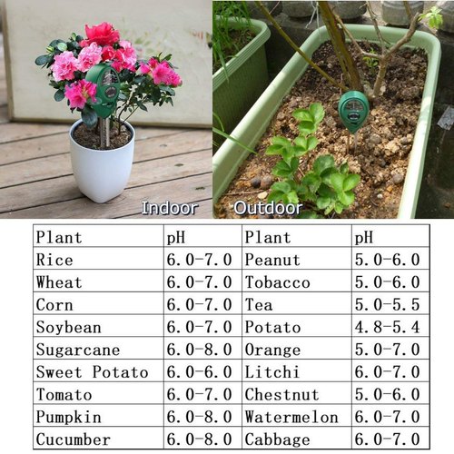 3-in-1 Soil Meter (pH, Moisture, Light)