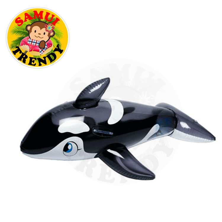 Jumbo Whale