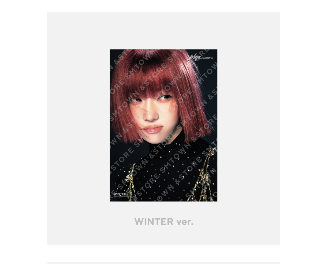 aespa -aespa WEEK –A4 Photo แบบ winter