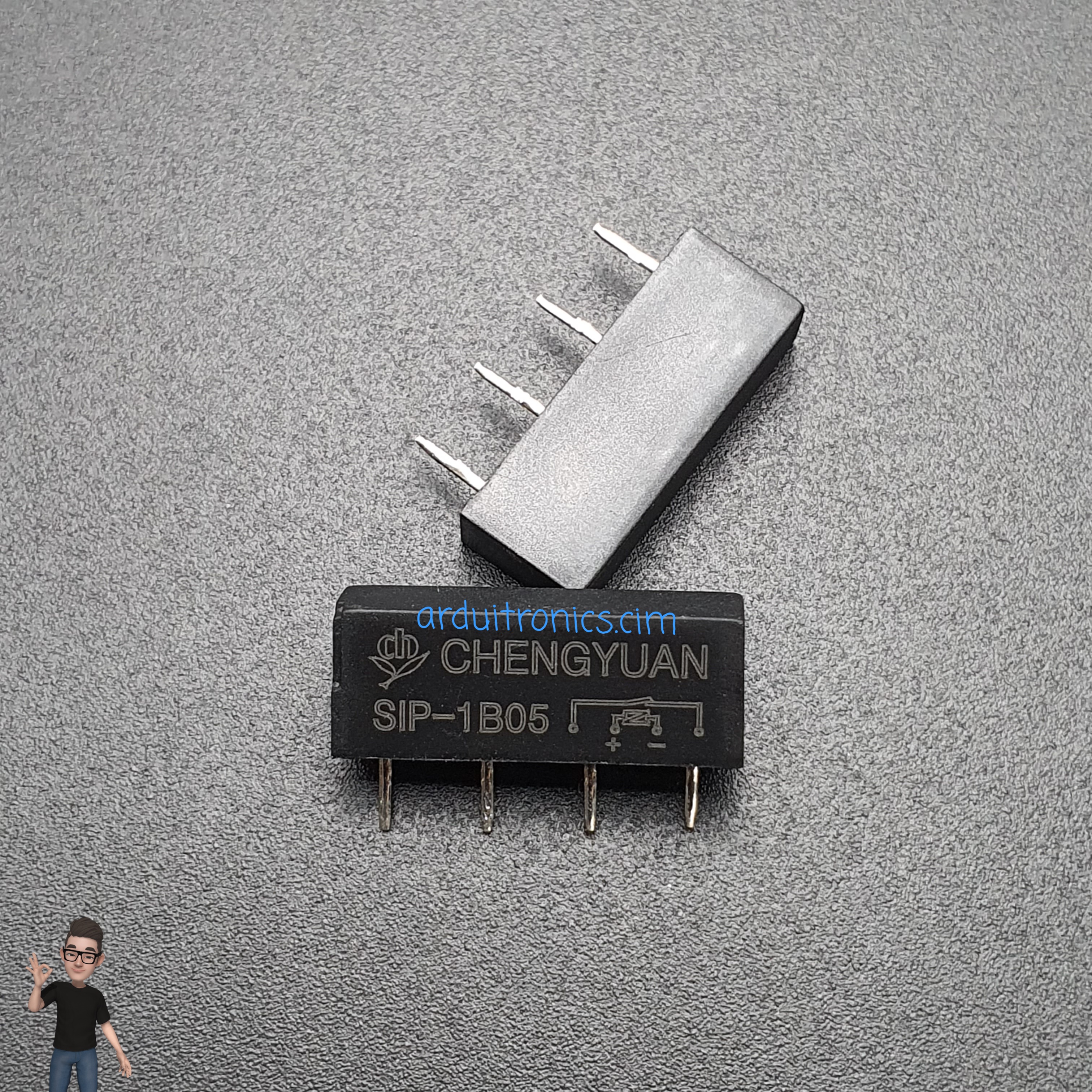 Reed Relay SIP-1B05 Normally Closed 5V (SIP-1B05)