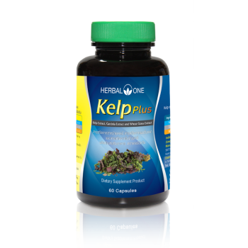 Kelp(เคลป์)