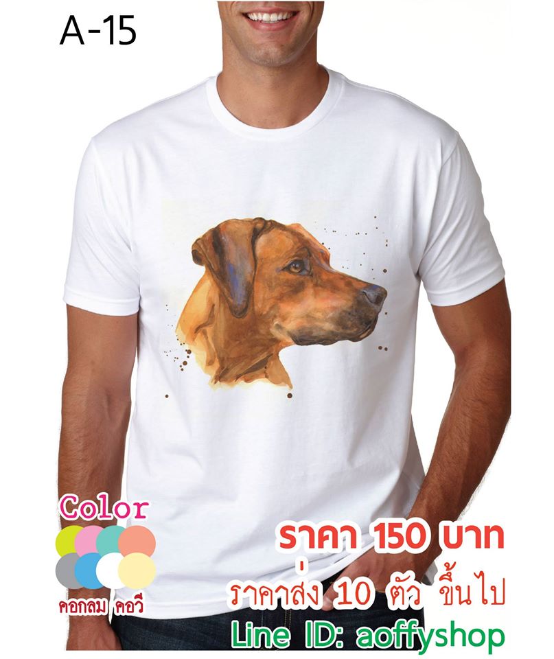 ขายส่ง ปลีก เสื้อยืดลายอาร์ตๆ