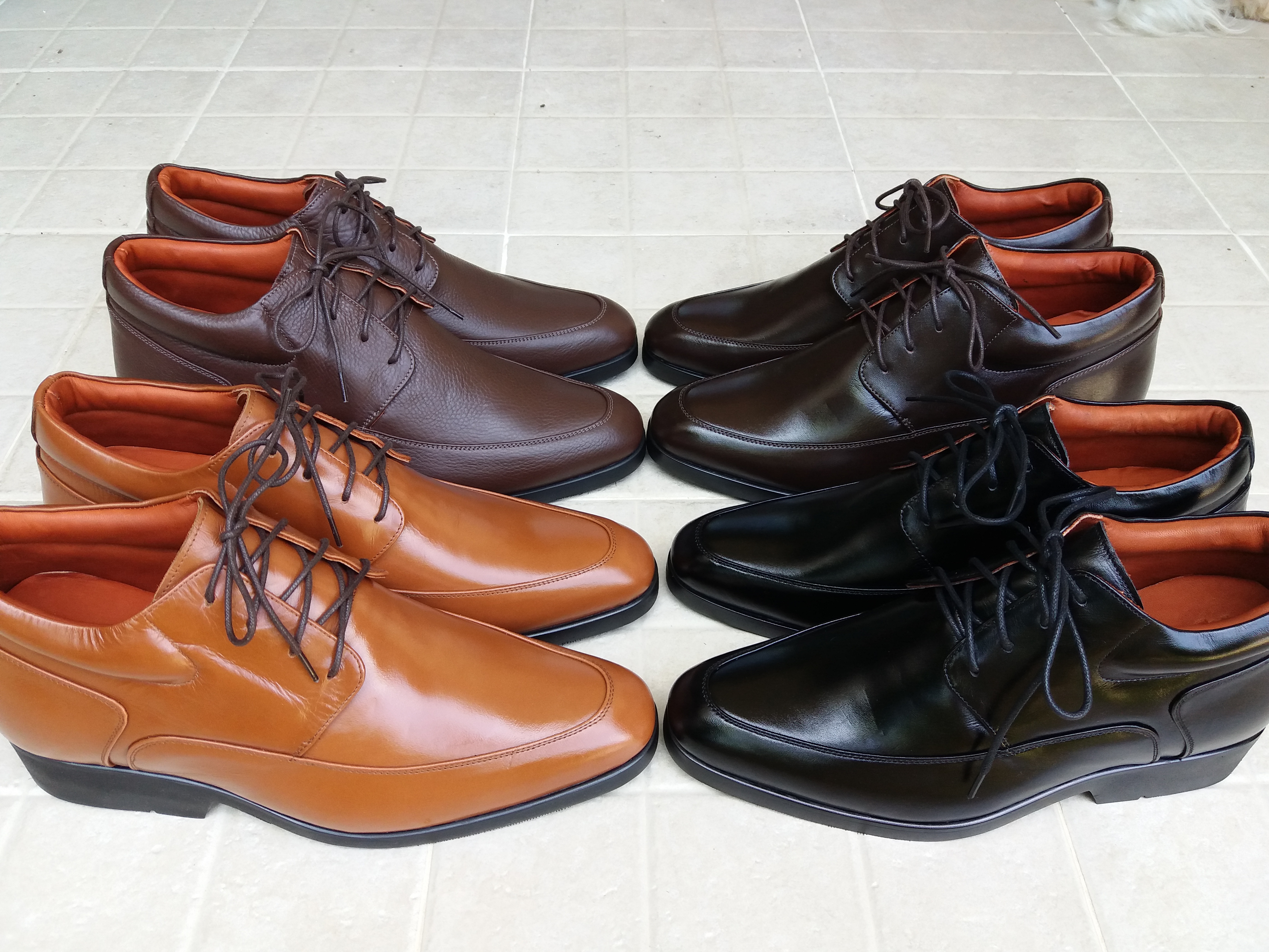 Activo (Dark Brown) 8.5 cm.