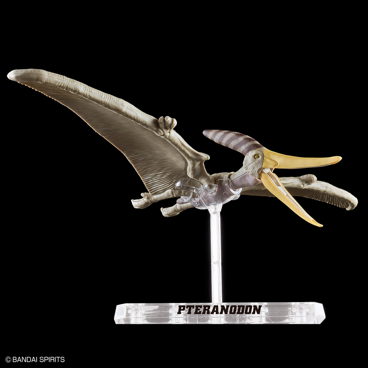 Plannosaurus Pteranodon