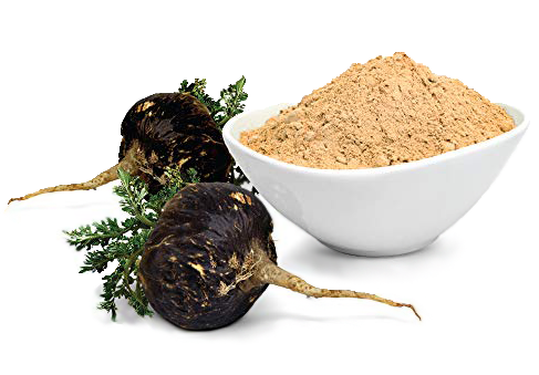 Organic Black Maca Capsule (มาคาดำ โสมเปรูดำ ชนิดแคปซูล) 60 แคปซูล