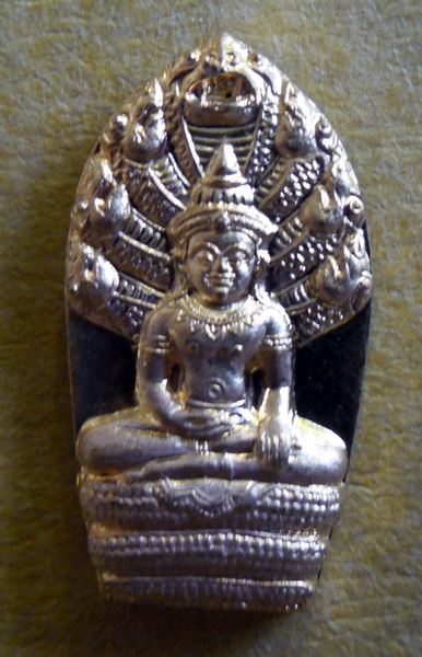 พระนาคปรกใบมะขาม หลวงปู่เจือ รุ่น 2 วัดกลางบางแก้ว ปี51 เนื้อทองแดง