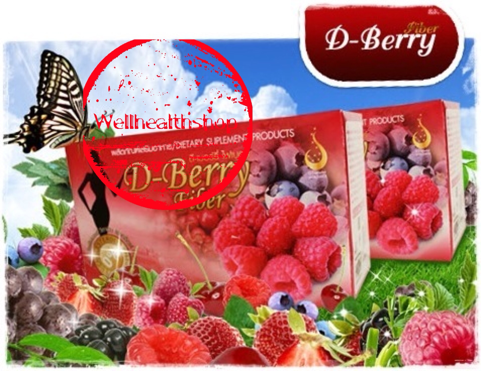 D-Berry Fiber