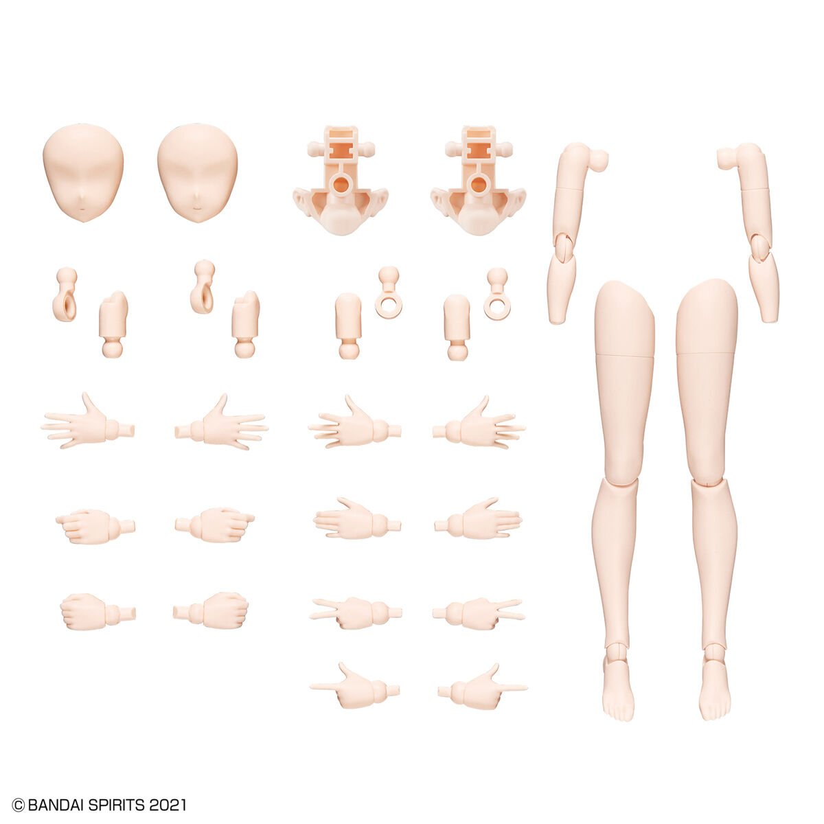 30MS Option Body Parts Arm Parts & Leg Parts [Color B] (พาร์ทแขนขาเสริมเท่านั้น ไม่มีตัวหโมเดล)