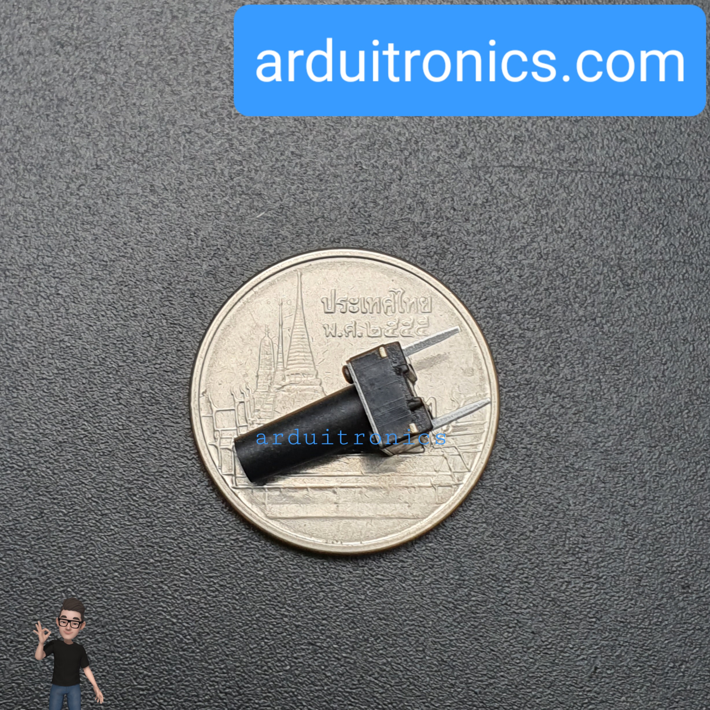 Tact Switch 6X6x12mm ไมโครสวิตช์ กดติดปล่อยดับ 2 ขา (หัวกลม)