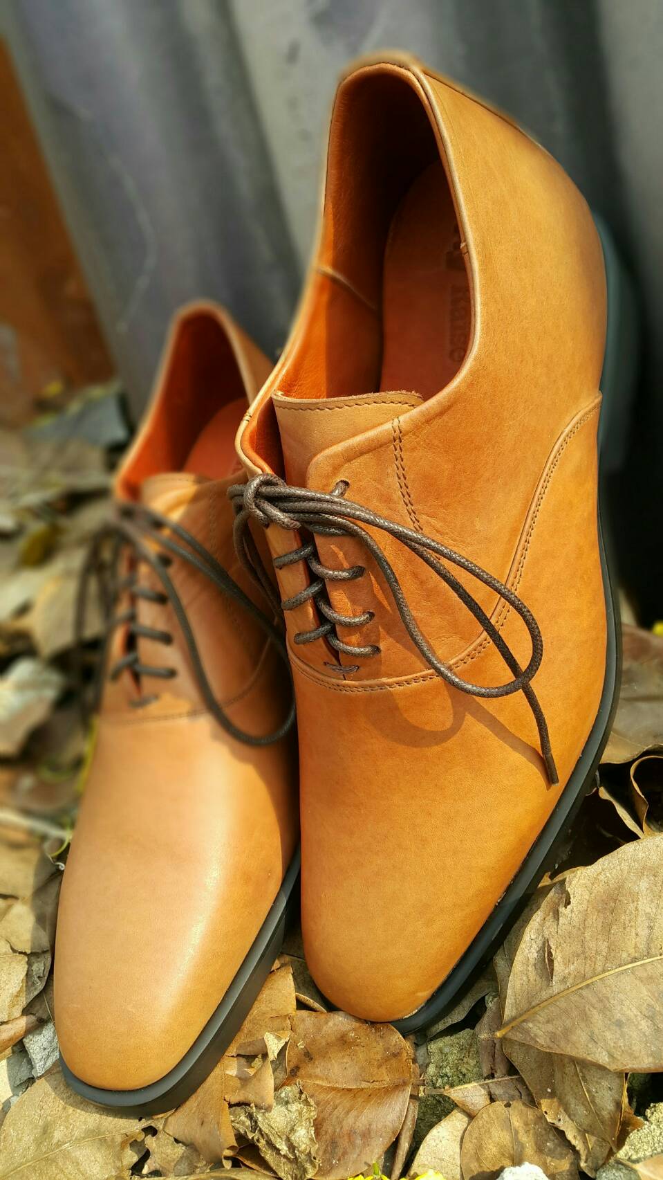 Classica (Tan EXT.) 8.5