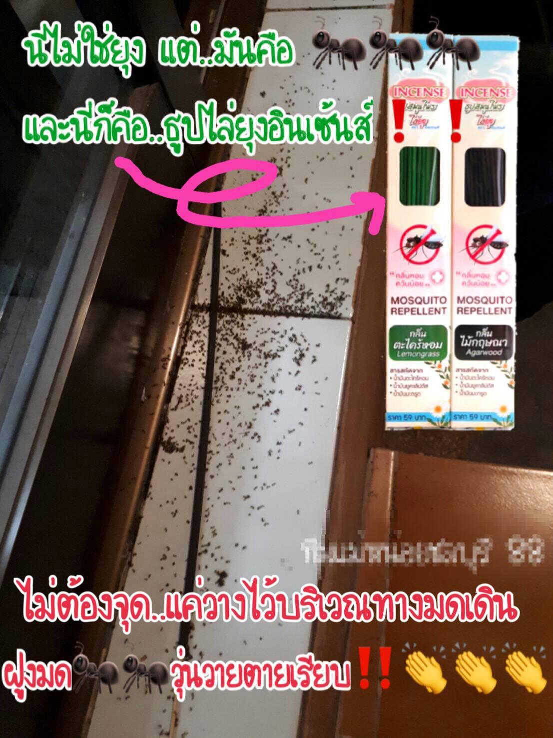 ธูปหอมไล่ยุง อินเซนส์ (2 กล่อง) กลิ่นตะไคร้หอม และ กลิ่นไม้กฤษณา