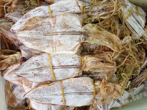 หมึก 6 นิ้ว