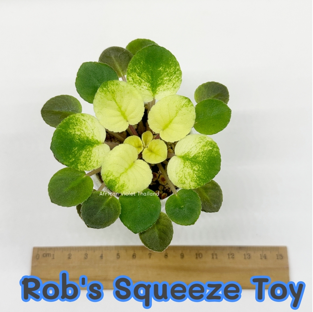 Rob's Squeeze Toy - Semiminiature