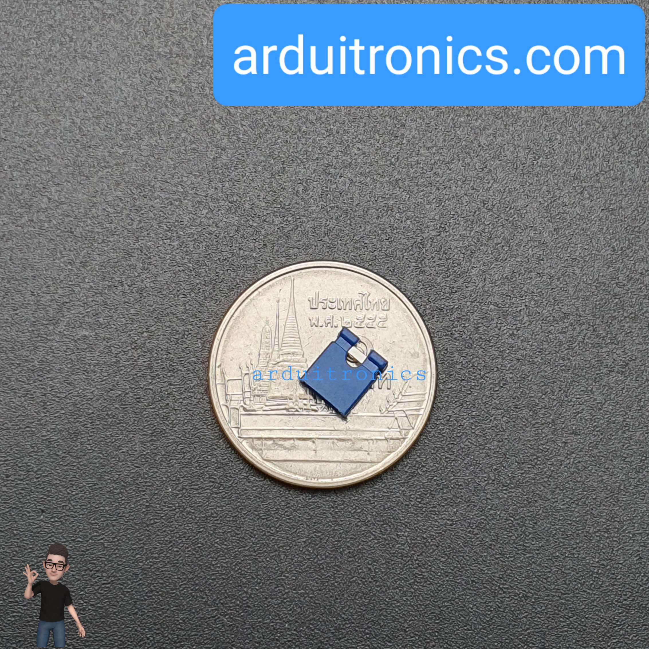 Pin Jumper - 2 Pin (ปลายเปิด สีน้ำเงิน)