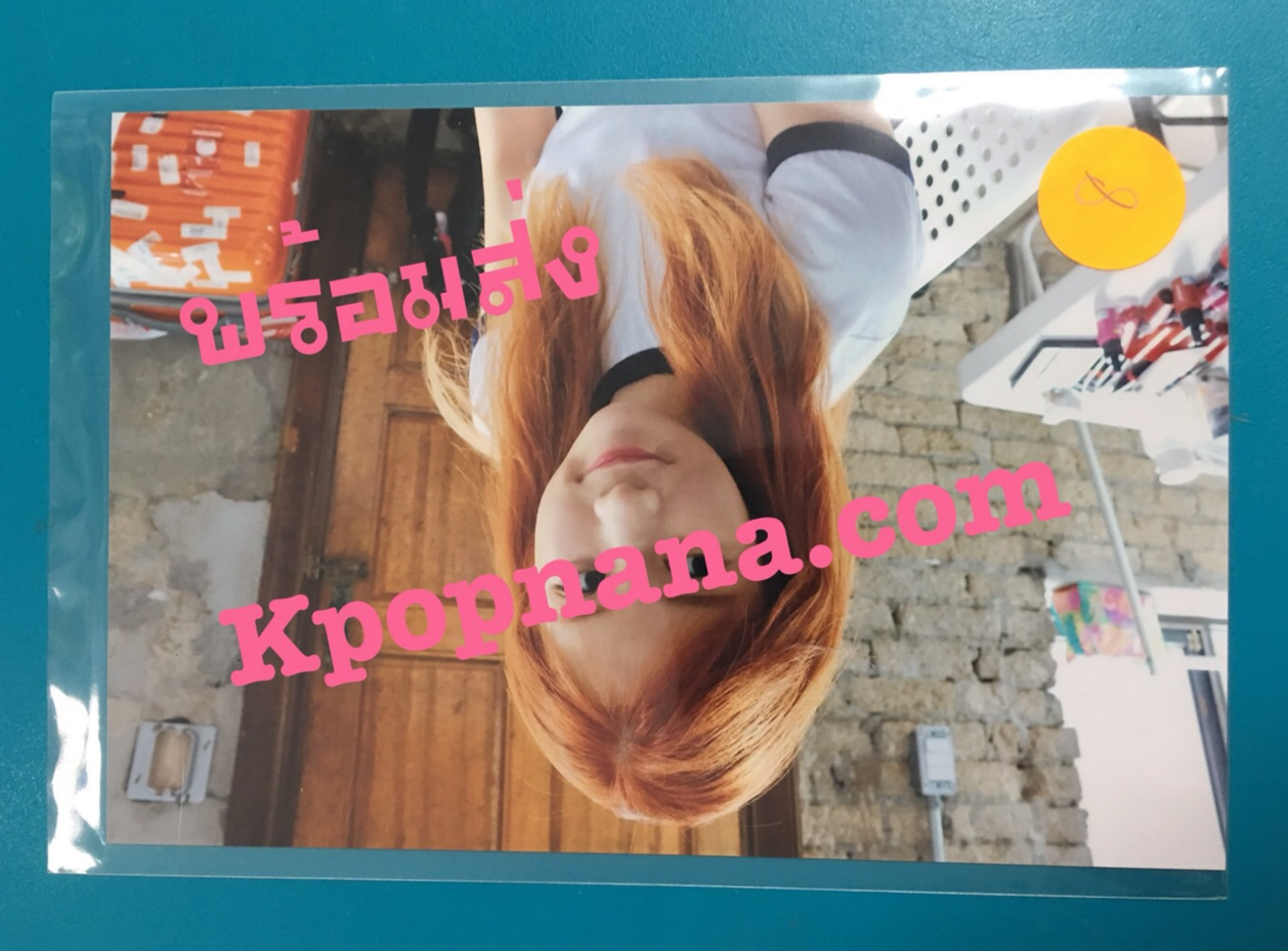 Apink- ของสะสม [PINK UP] - photo ราคา แผ่น ละ 80 บาท แบบที่ 10 - พร้อมส่ง
