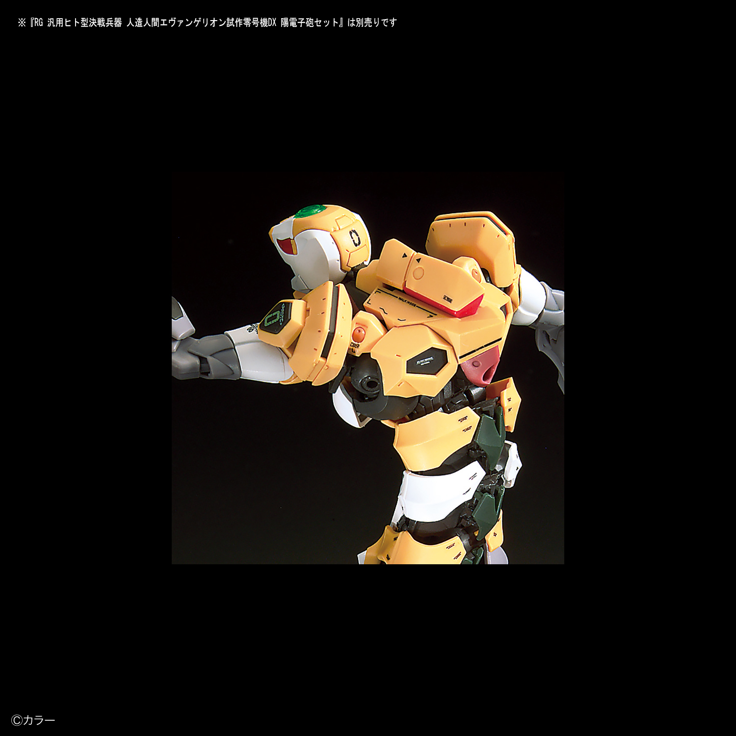 Water Decal - Evangelion Decal