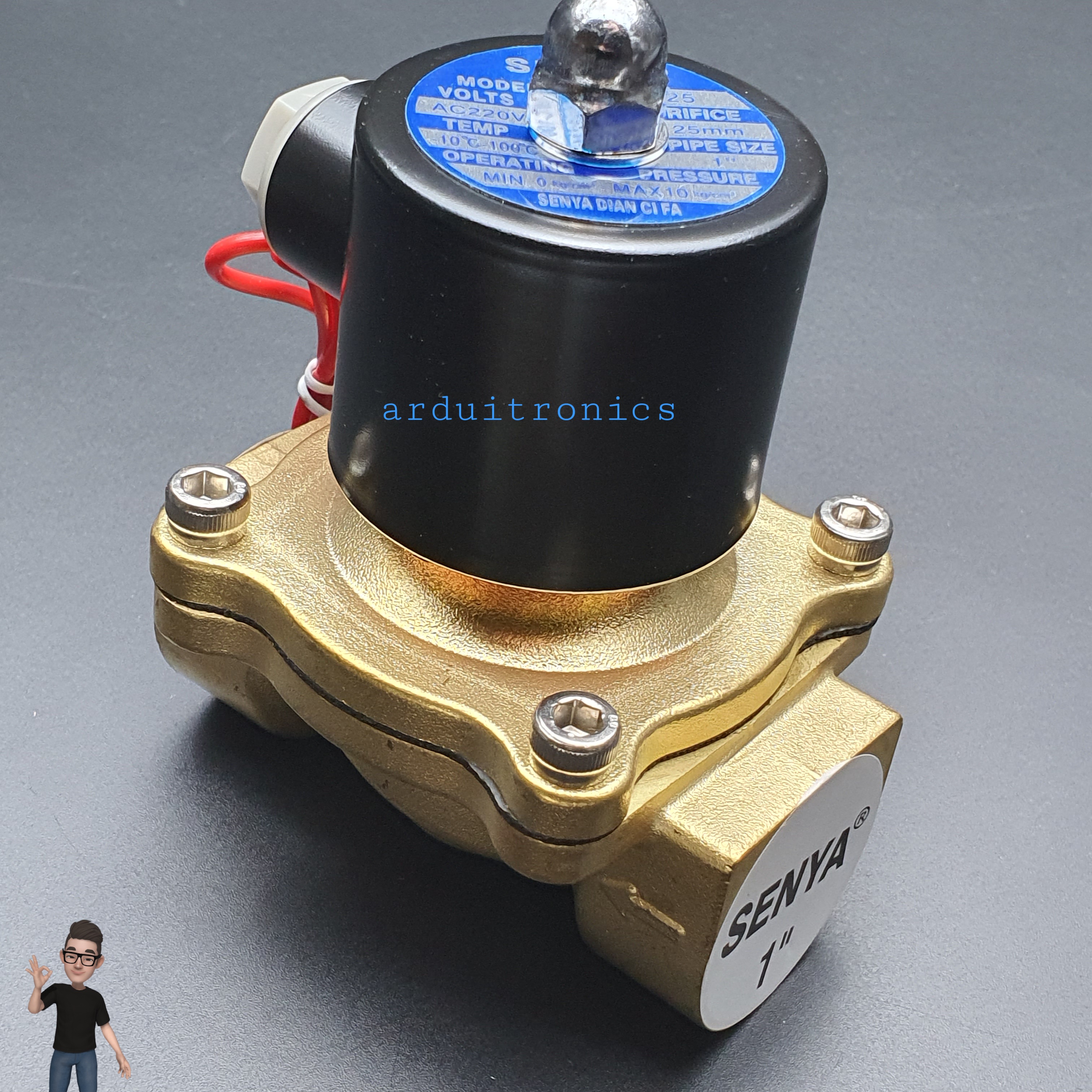 โซลินอยวาล์ว ทองเหลือง (Solenoid Valve Normally Closed) 8 หุน (1") 220VAC - ยี่ห้อ Senya 2W-250-25