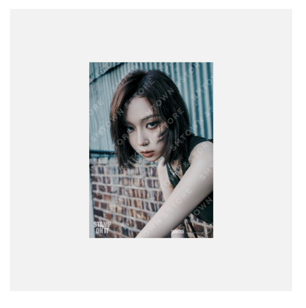 GOT the beat -GOT the beat The 1st mini Album - 'Stamp On It' MD Collection] - ของสะสม A4 PHOTO - Winter