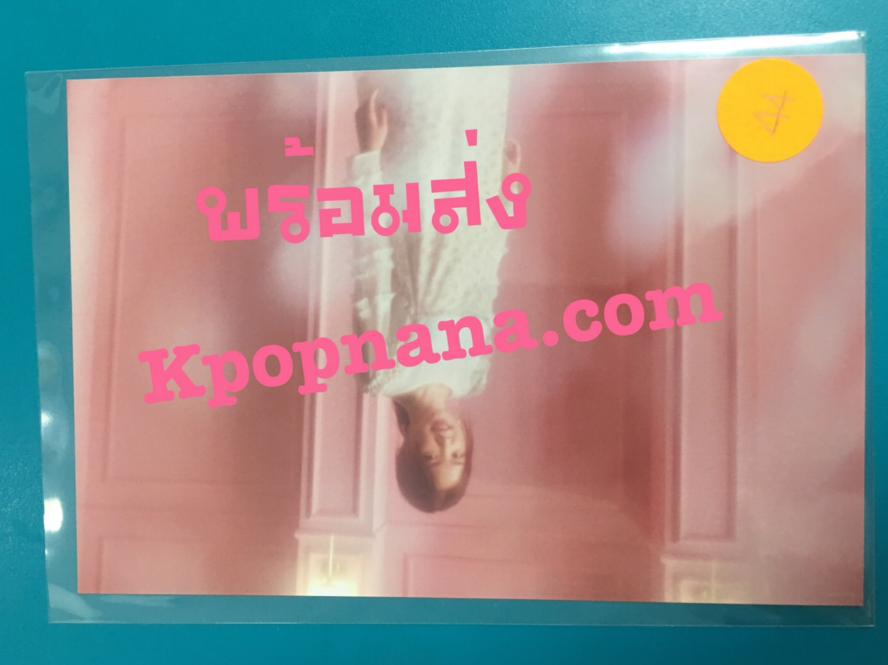 Apink- ของสะสม [PINK UP] - photo ราคา แผ่น ละ 80 บาท แบบที่ 16 - พร้อมส่ง