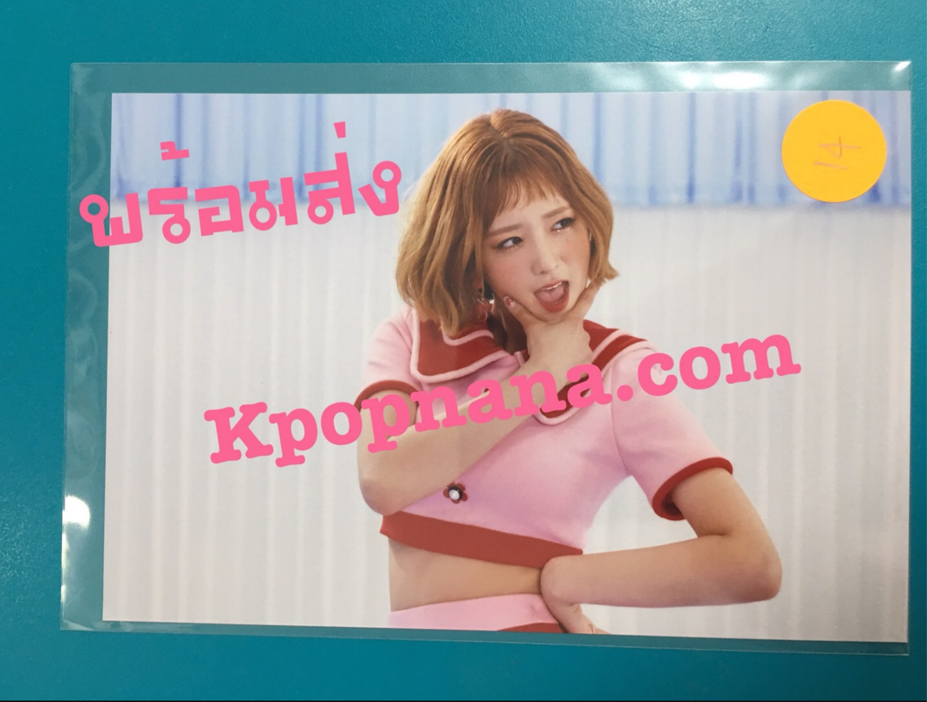 Apink- ของสะสม [PINK UP] - photo ราคา แผ่น ละ 80 บาท แบบที่ 12 - พร้อมส่ง