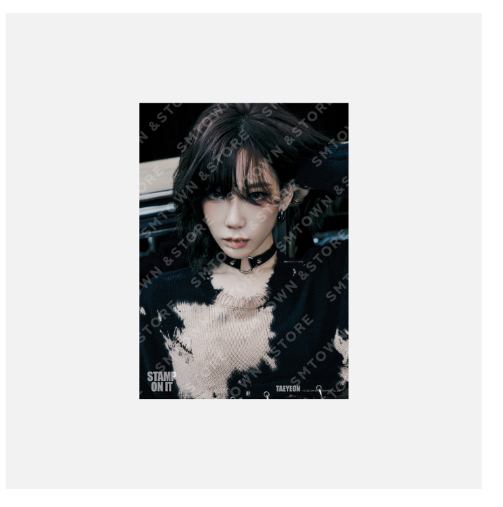 GOT the beat -GOT the beat The 1st mini Album - 'Stamp On It' MD Collection] - ของสะสม A4 PHOTO - Taeyeon