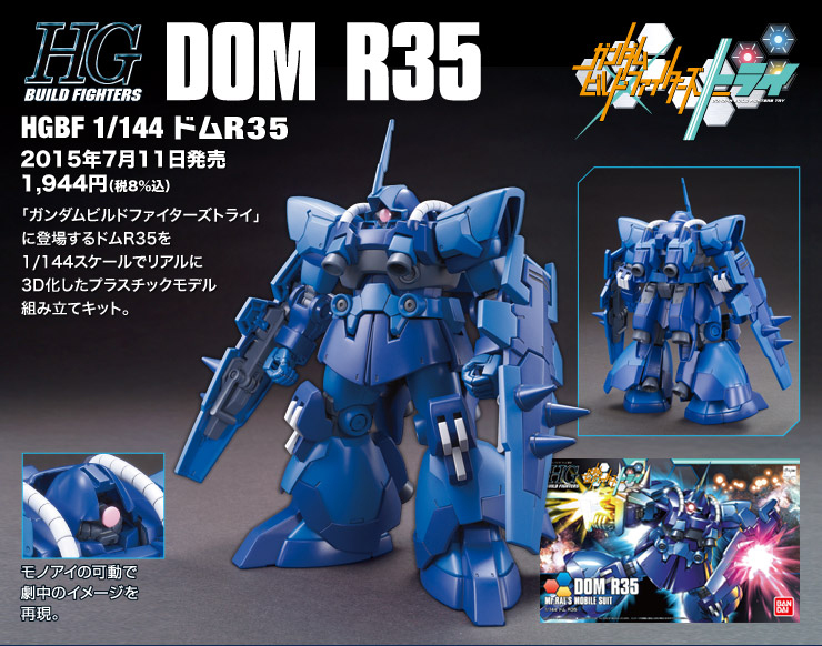 HGBF 1/144 Dom R35