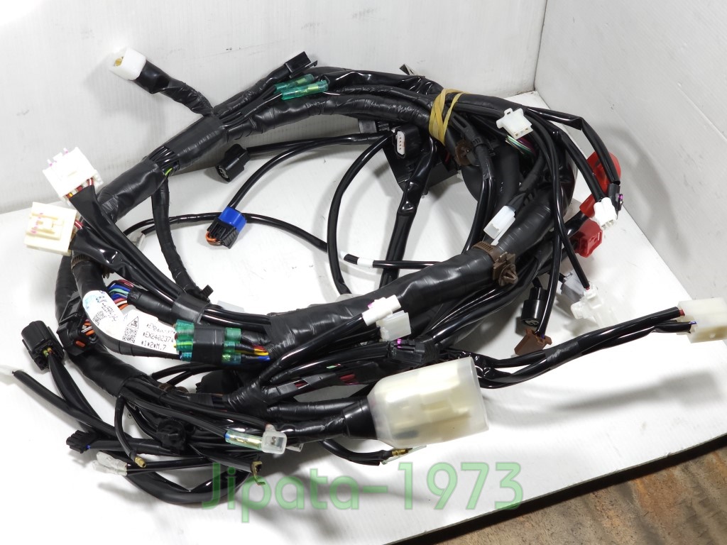 (Grand Filano) ชุดสายไฟเมน ชุดใหญ่ Yamaha Grand Filano ปี 2023 สำหรับรถรุ่น Smart Key แท้