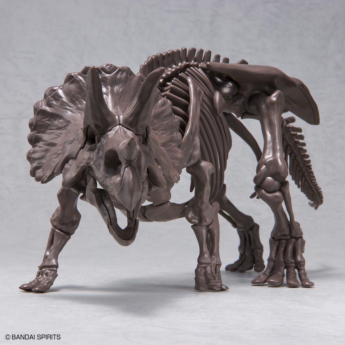 Imaginary Skeleton Triceratops