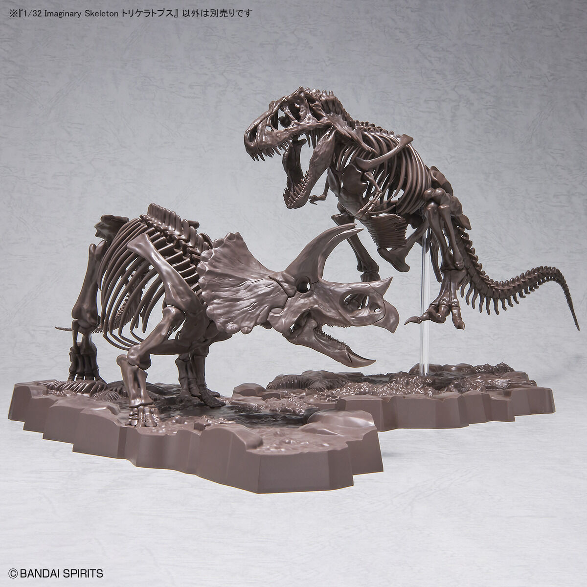 Imaginary Skeleton Triceratops