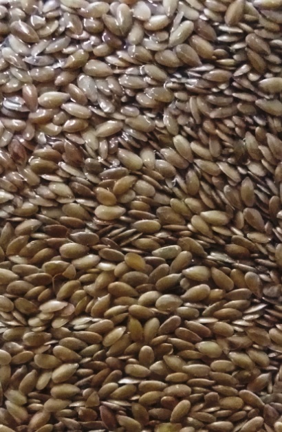 *GOLD* แฟลกซ์ซีด สีทอง ชนิดเต็มเมล็ด 500g. (Organic Whole Golden Flaxseed)