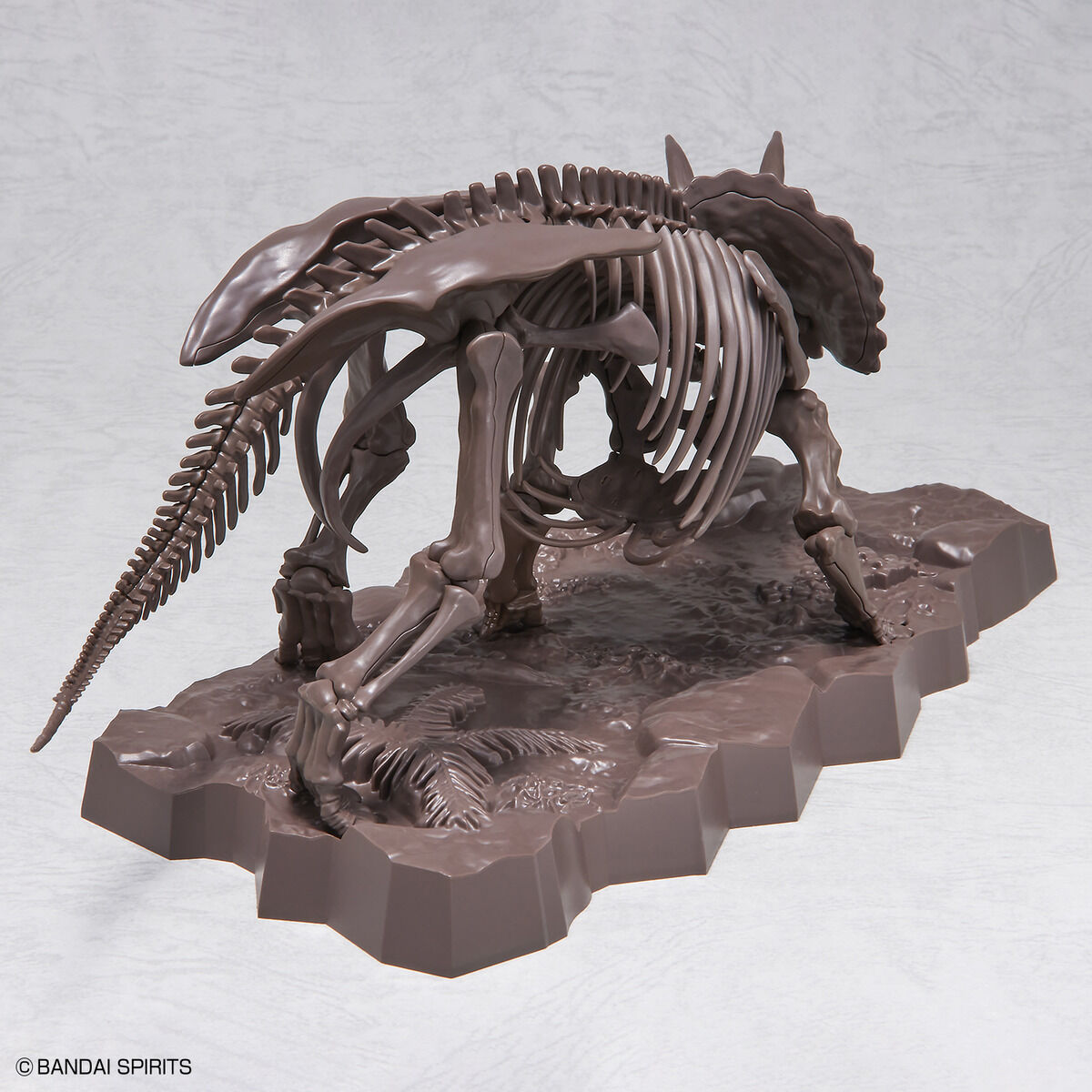 Imaginary Skeleton Triceratops