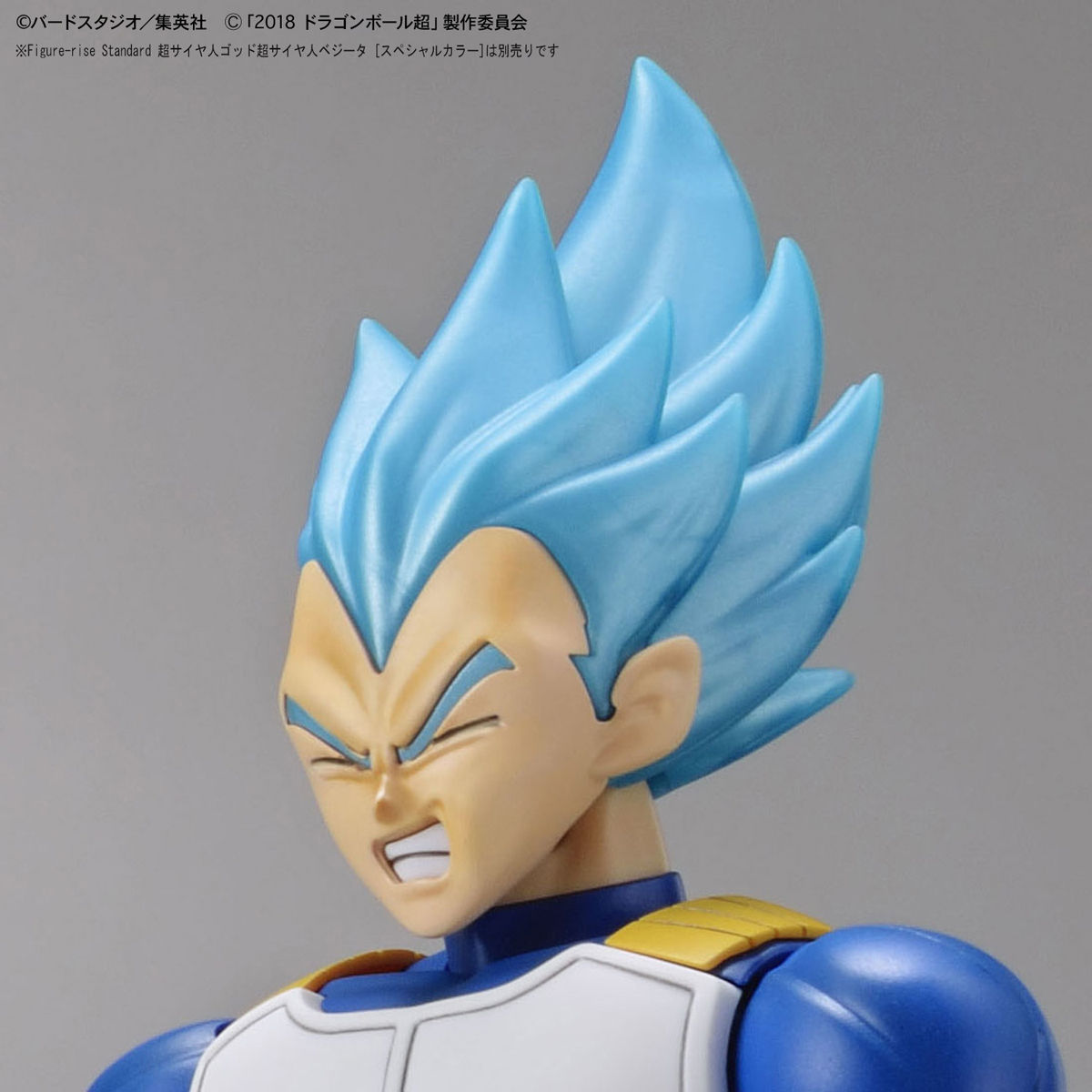 Figure-rise Standard Super Saiyan Broly Full Power