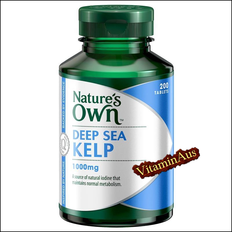 Kelp 1000mg 200 Tablets