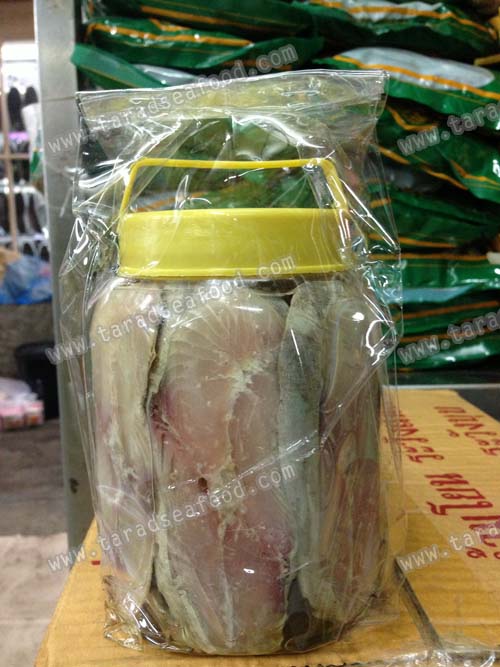 ปลาอินทรีย์กระปุกใหญ่