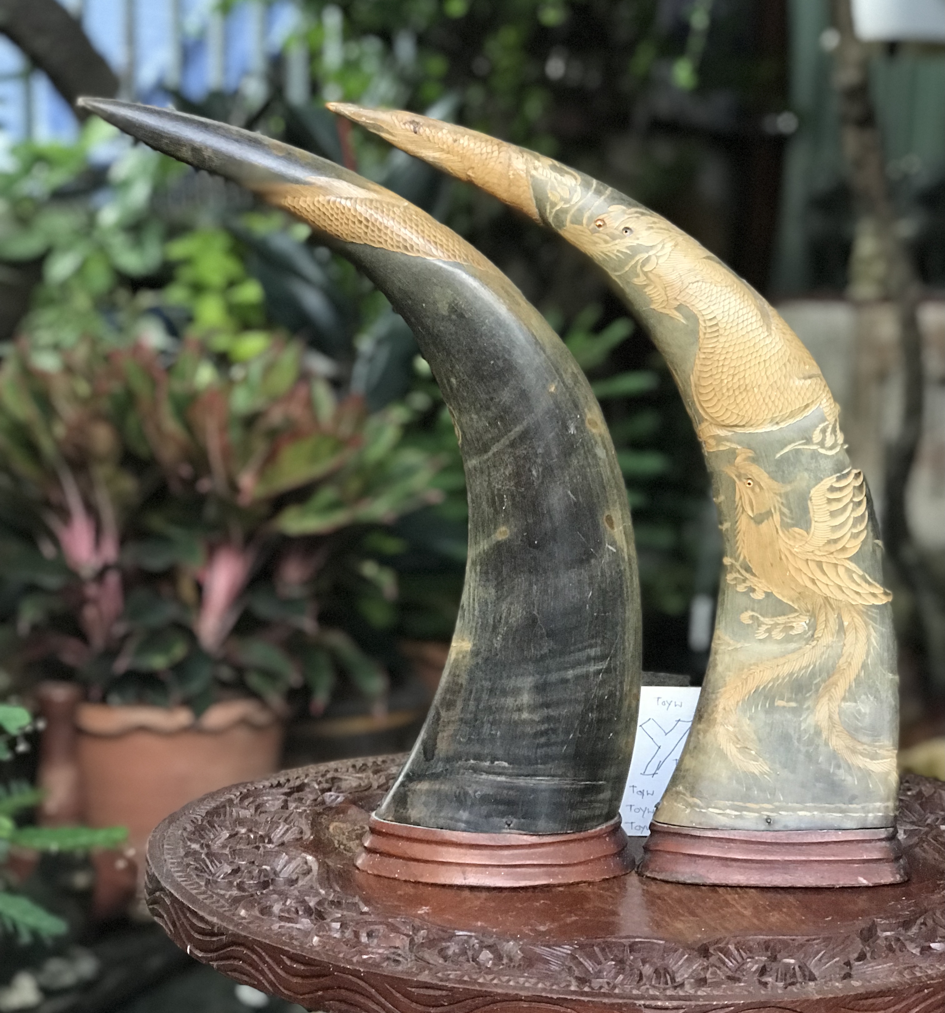 เขาควายแกะลายหงส์ และมังกร มีตำหนิปลายเขาเล็กน้อย ดูภาพสุดท้าย ขนาดสูง 15.5 นิ้ว
