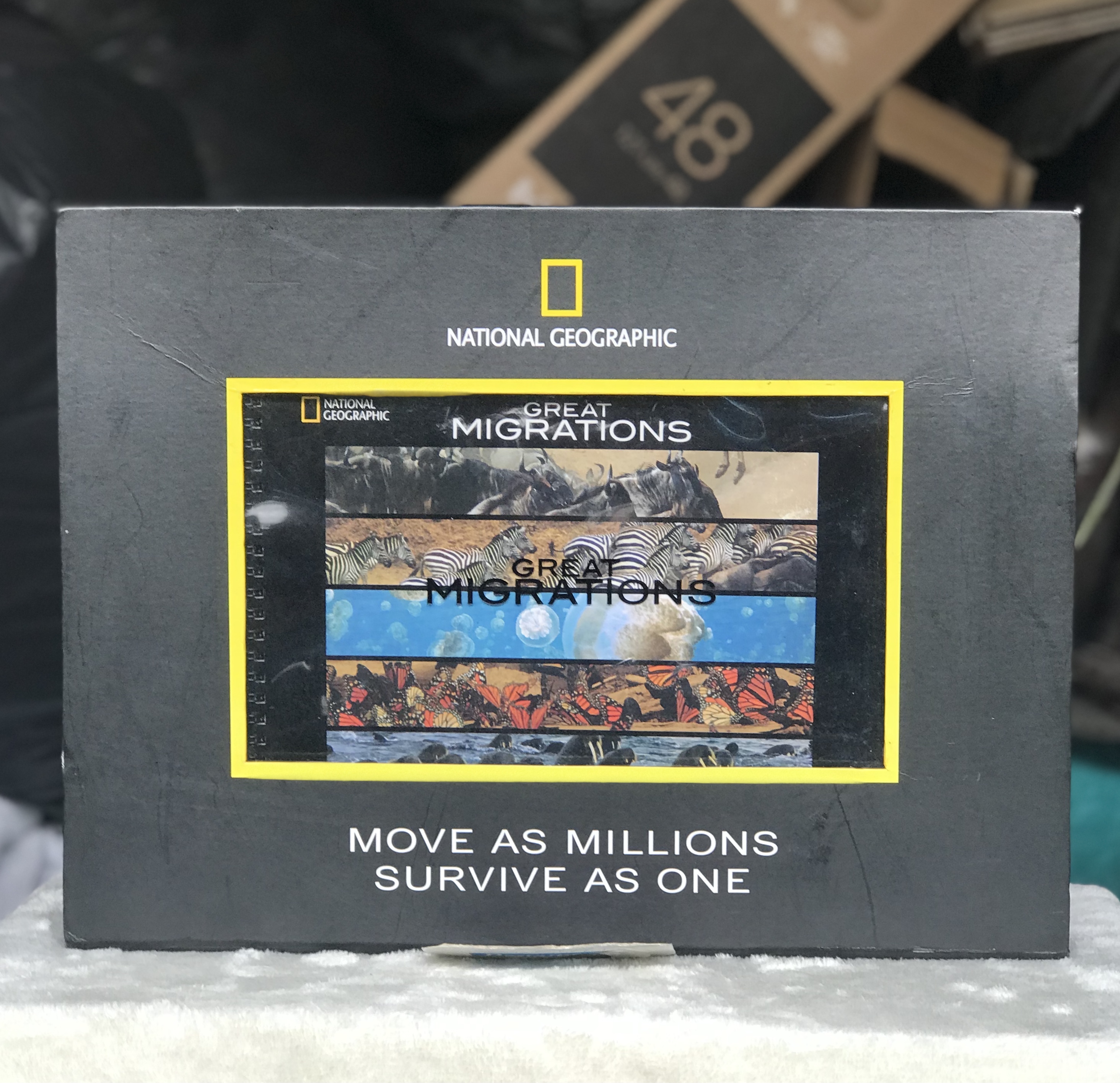 ￼Box Set- National Geographic DVD ดีวีดีสารคดี GREAT MIGRATIONS MOVE AS MILLIONS SURVIVE AS ONE
