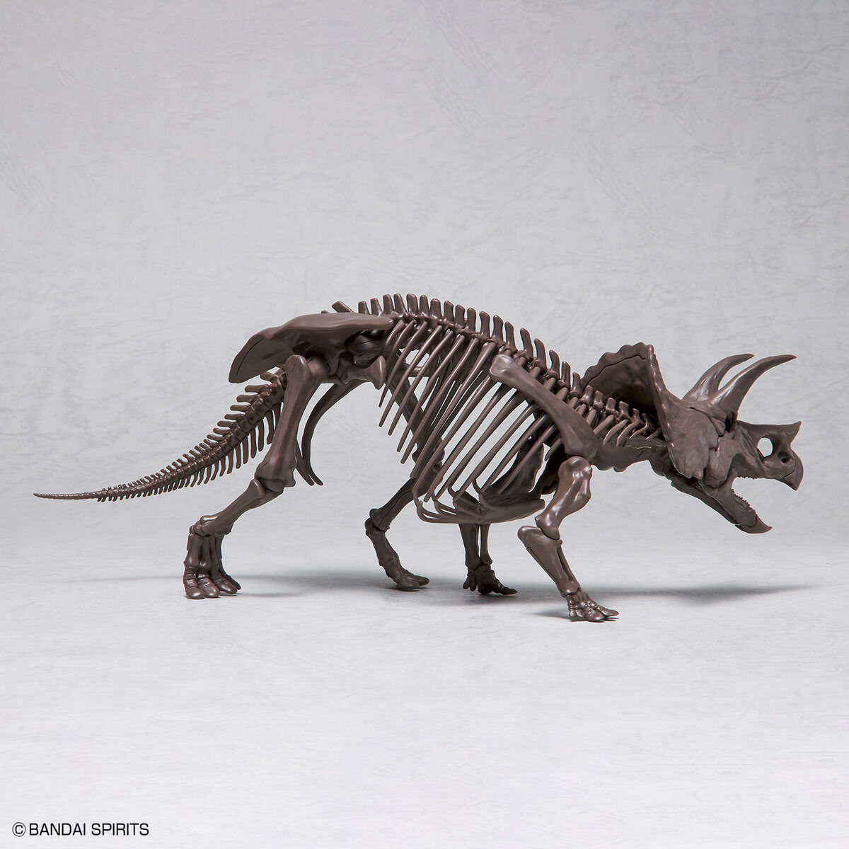 Imaginary Skeleton Triceratops