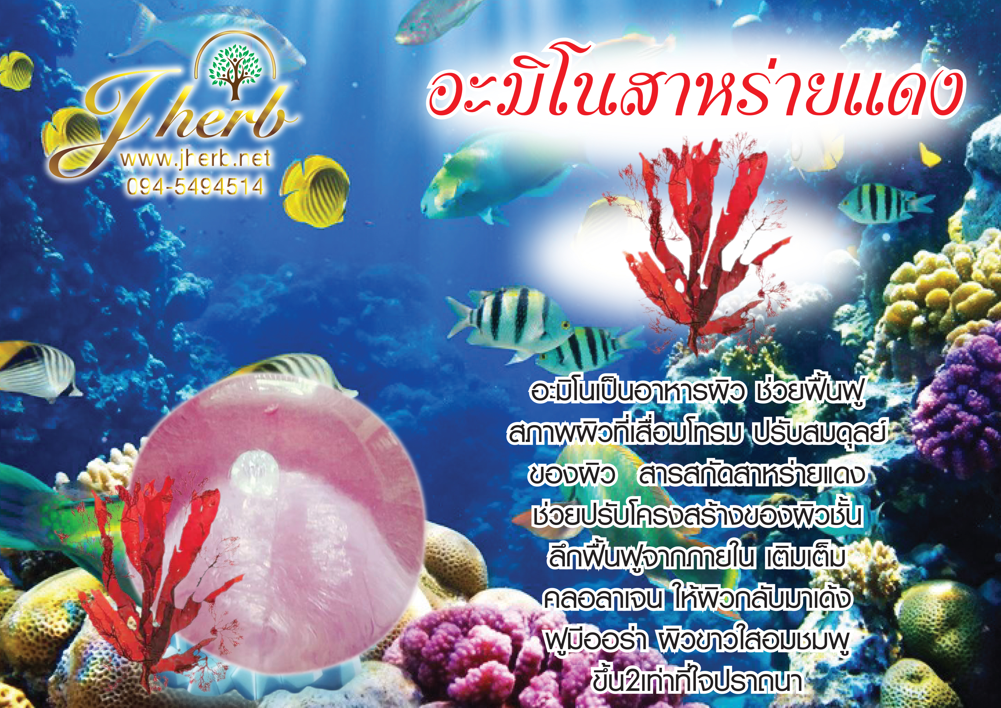 สบู่อะมิโนสาหร่ายแดง ขนาด 100 กรัม